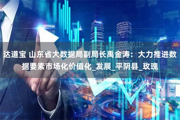 达道宝 山东省大数据局副局长禹金涛:大力推进数据要素市场化价值化_发展_平阴县_玫瑰